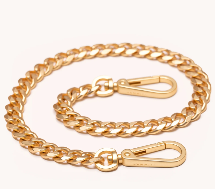 Hammitt- Metal Chain Shoulder Strap