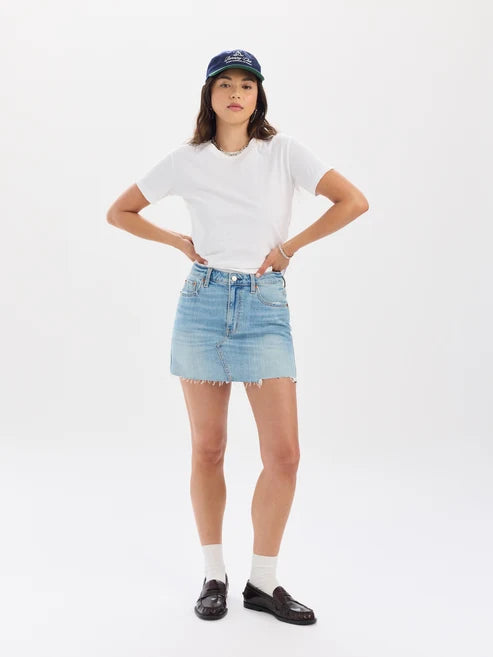 DAZE Malibu Mini Skirt in Obviously Vintage